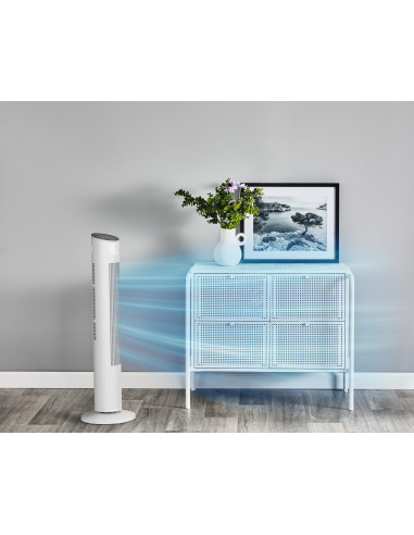 Rowenta Eole VU6871 Blanc