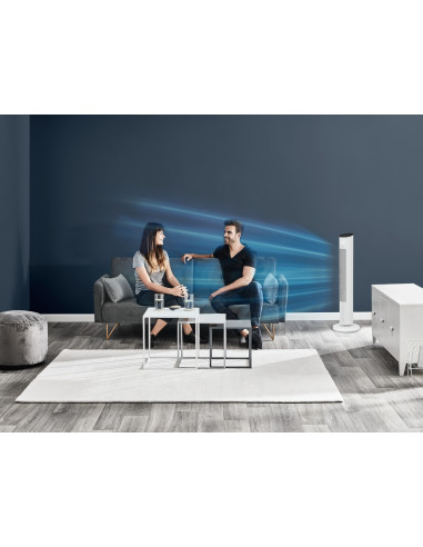 Rowenta Eole VU6871 Blanc