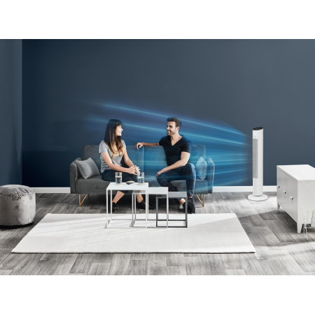 Rowenta Eole Ultra VU6871 Torenventilator