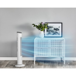 Rowenta Eole VU6871 Blanc 2