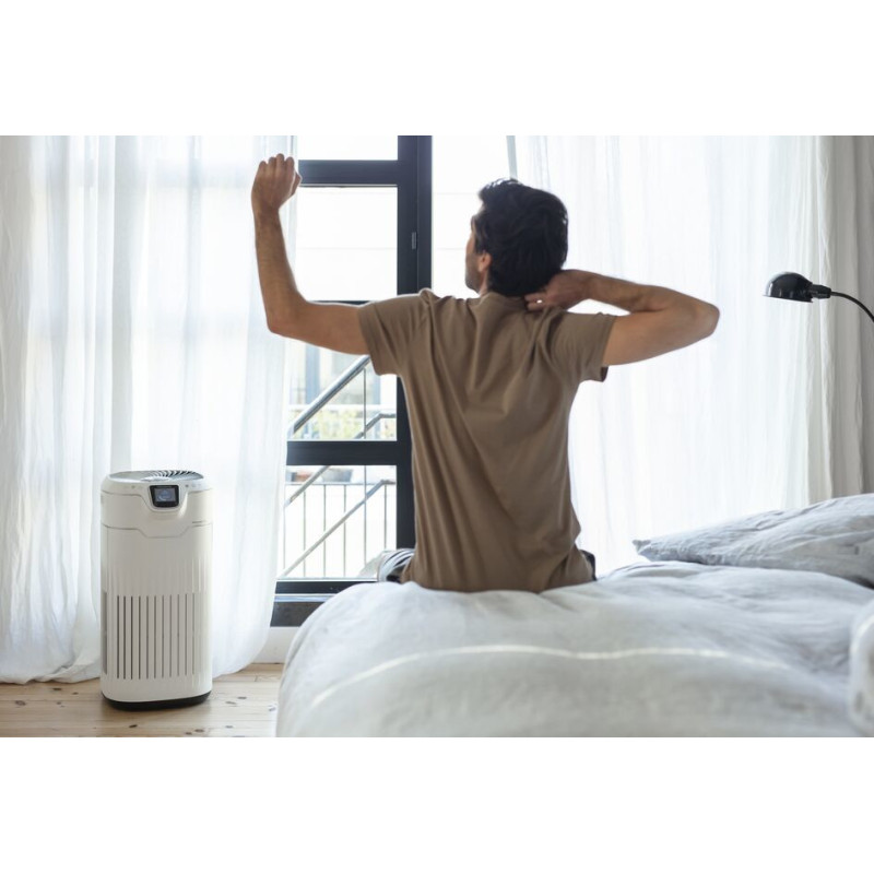 Rowenta Pure Home PU8080 PU8080 Luchtreiniger
