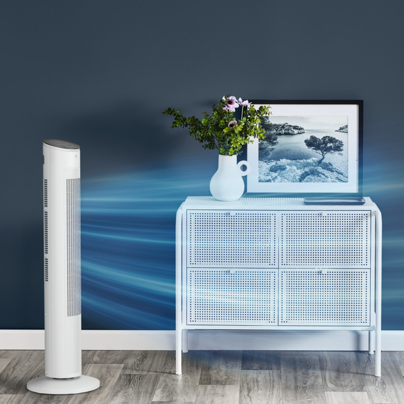 Rowenta Eole Ultra VU6871 Torenventilator