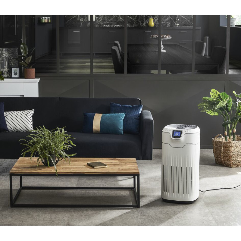 Rowenta Pure Home PU8080 PU8080 Luchtreiniger