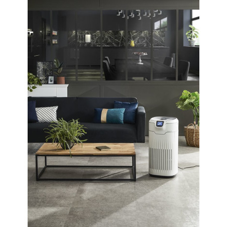 Rowenta Pure Home PU8080 200 m² 64 dB 60 W Blanc, Bleu