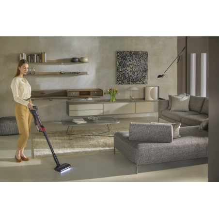 Hoover HF210H 011 2-in-1-steelstofzuiger Batterij/Accu Droog EPA Zakloos 165 W Zwart, Rood