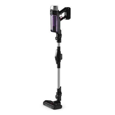 Rowenta RH2037 X-Force Flex 9.60 RH2037 Steelstofzuiger