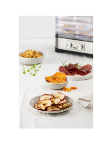 Fritel DH 2025 Acier inoxydable 250 W