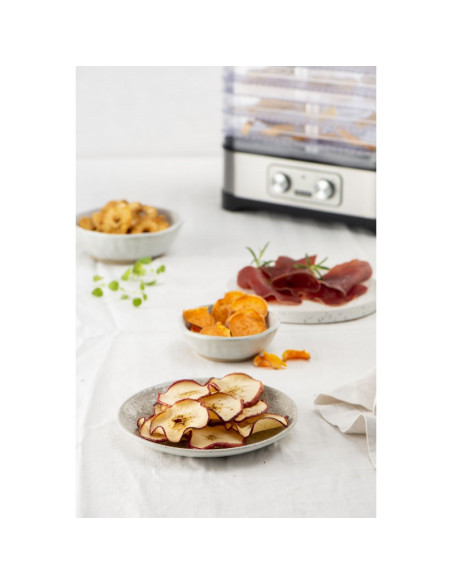 Fritel DH 2025 Acier inoxydable 250 W